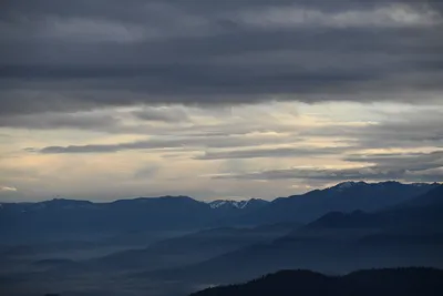 DSC_0105 (Large).JPG